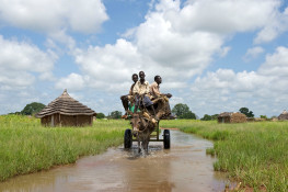 Disasters, Climate Change And Displacement: Regional Dynamics Of Human Mobility In West Africa