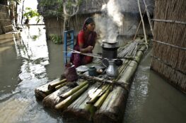 Panel Discussion On The Work Of The Platform On Disaster Displacement