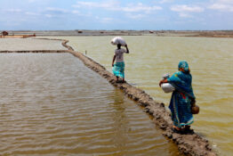 Disaster Displacement At COP25