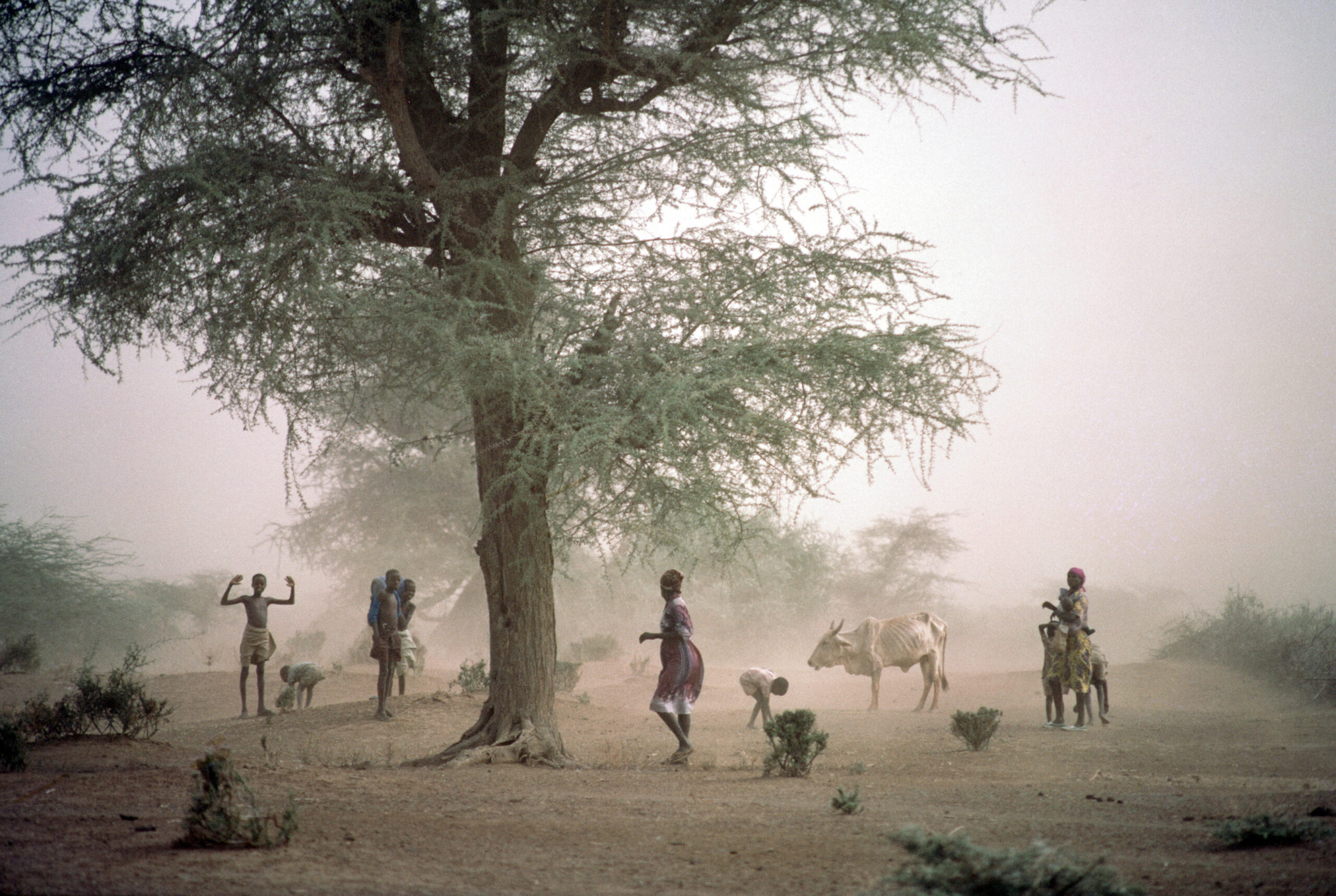 Human Mobility in the Contexts of Disasters and Climate Change in Africa – A Panel Address by Prof. Walter Kaelin