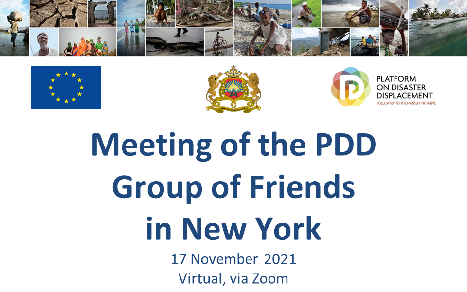 PowerPoint slide with text Meeting of the PDD Group of Friends in New York, 17 November 2021