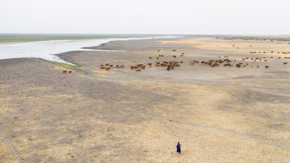 Where Will We Go if this Lake Dries Up? A Case-Study from the Sahel – by Maria Stavropoulou and Andrew Harper