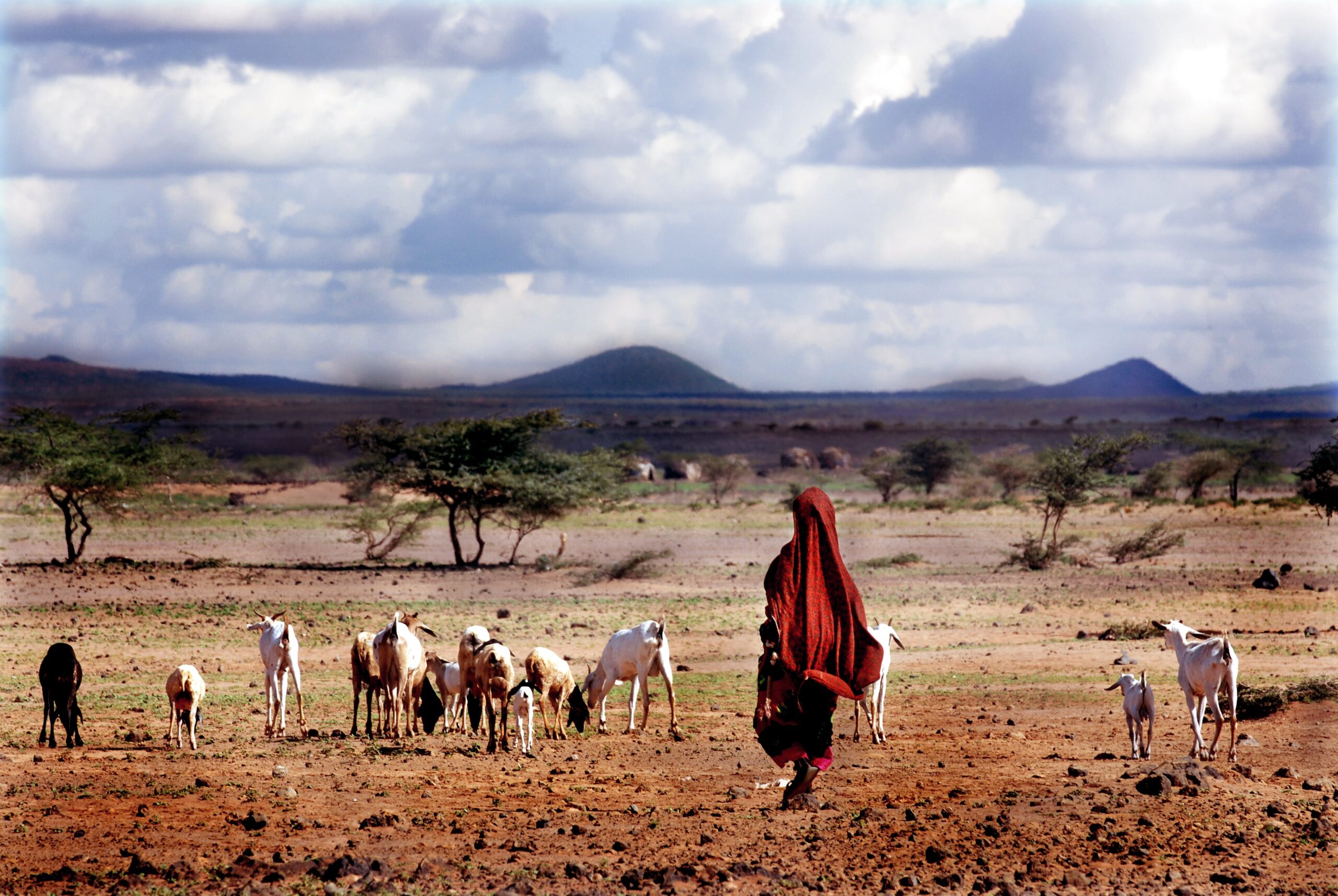 Developing Partnerships in the IGAD Region – by Lena Brenn, Noora Mäkelä, Eleonora Panizza, Ahmed Amdihun and Roberto Rudari