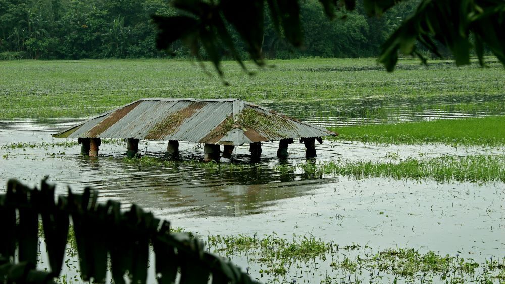 Online Meeting – Planned Relocation in the Context of Disasters and Climate Change