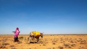 From Risk To Resilience: Addressing Human Mobility And Climate Change In The IGAD Region – Side Event At COP29