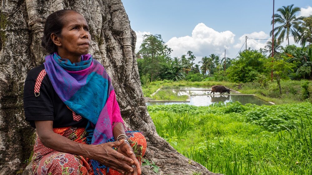 In-Person Event: Harnessing Development and Climate Finance to Address Internal Displacement in the Context of Disasters and Climate Change