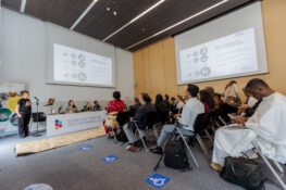 Reporting Back – Displacement In Disasters- Participation And Innovation For Resilience | Side Event At GP25