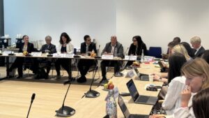 The Group Of Friends Of The Platform On Disaster Displacement Meets In Geneva