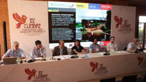 Disaster Displacement At The 15th Global Forum For Migration And Development Summit